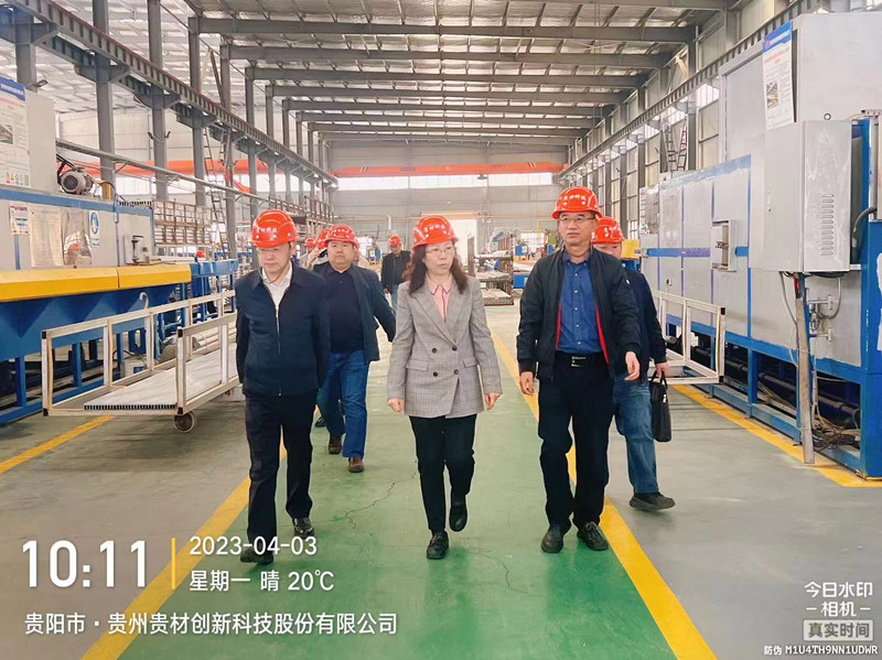 魏定梅：貴陽市人大常委會副主任、貴陽市工商聯主席